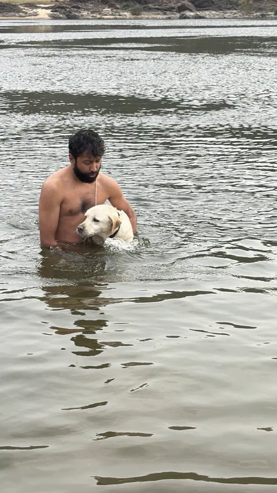 In a river with a Labrador